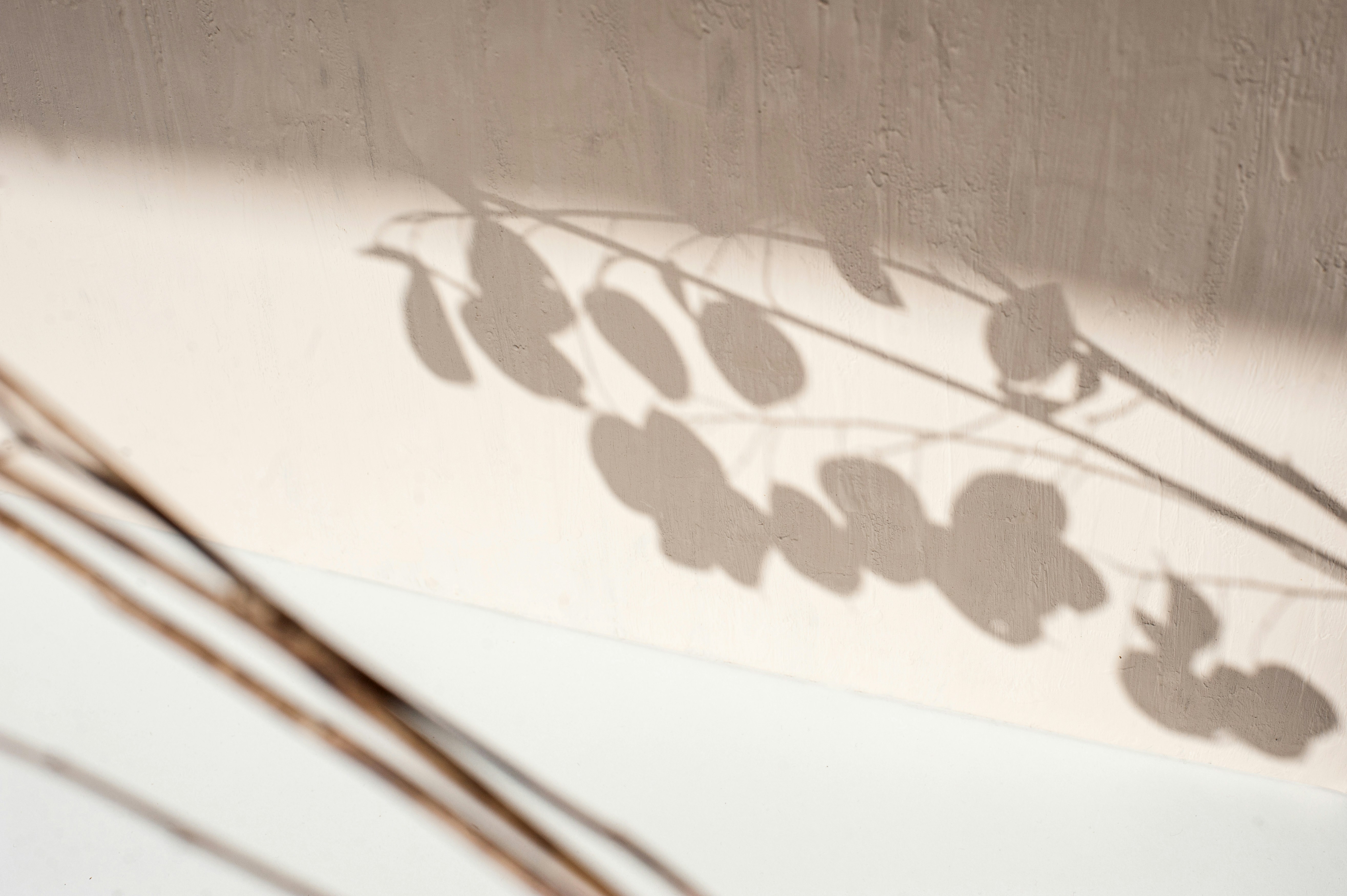 Blattschatten an einer sandfarbenen Wand